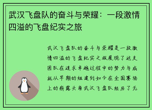 武汉飞盘队的奋斗与荣耀：一段激情四溢的飞盘纪实之旅