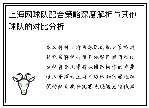 上海网球队配合策略深度解析与其他球队的对比分析
